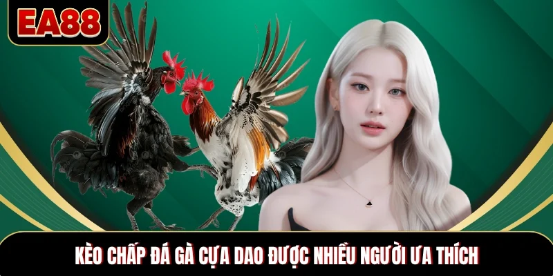 Kèo chấp đá gà cựa dao được nhiều người ưa thích da-ga-cua-dao-keo-chap Kèo chấp đá gà cựa dao được nhiều người ưa thích\