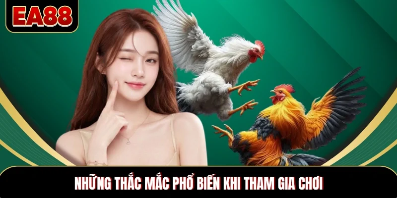 Những thắc mắc phổ biến khi tham gia chơi da-ga-cua-dao-thac-mac Những thắc mắc phổ biến khi tham gia
