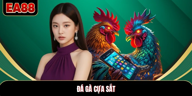 Đá Gà Cựa Sắt Bùng Nổ Những Trận Chiến Kịch Tính Gây Sốt