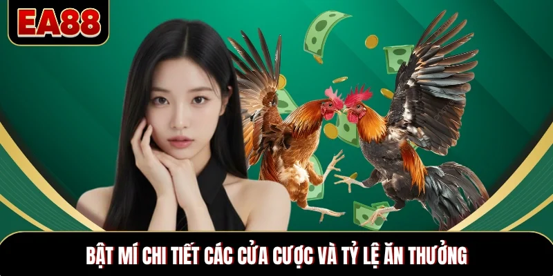 Bật mí chi tiết các cửa cược và tỷ lệ ăn thưởng Bật mí chi tiết các cửa cược và tỷ lệ ăn thưởng