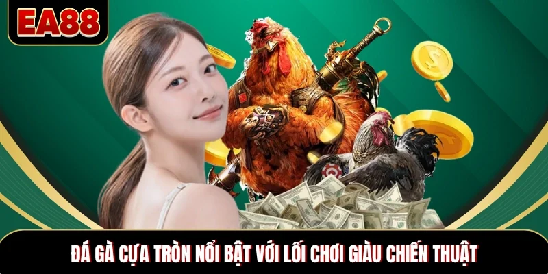 Đá gà cựa tròn nổi bật với lối chơi giàu chiến thuật Đá gà cựa tròn nổi bật với lối chơi giàu chiến thuật