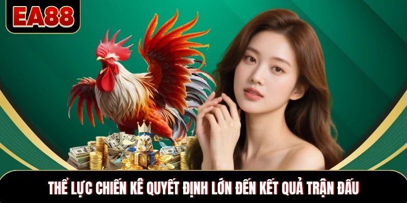Thể lực chiến kê quyết định lớn đến kết quả trận đấu Thể lực chiến kê quyết định lớn đến kết quả trận đấu