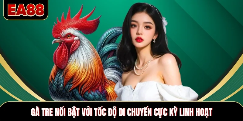 Gà Tre nổi bật với tốc độ di chuyển cực kỳ linh hoạt Gà Tre nổi bật với tốc độ di chuyển cực kỳ linh hoạt