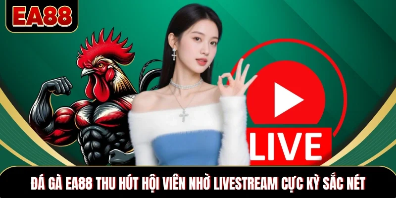 Đá gà EA88 thu hút hội viên nhờ livestream cực kỳ sắc nét Đá gà EA88 thu hút hội viên nhờ livestream cực kỳ sắc nét