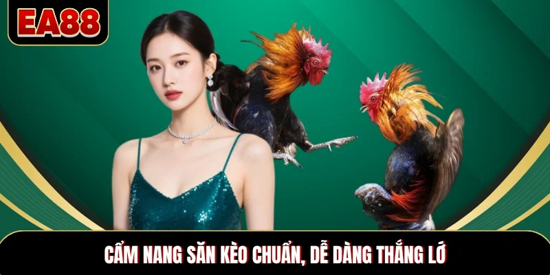 Cẩm nang săn kèo chuẩn, dễ dàng thắng lớn da-ga-thomo-meo-thang-lon Cẩm nang săn kèo chuẩn, dễ dàng thắng lớn da-ga-thomo-meo-thang-lon