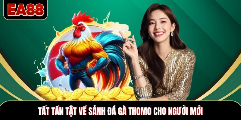 Tất tần tật về sảnh đá gà Thomo cho người mới Tất tần tật về sảnh đá gà Thomo cho người mới