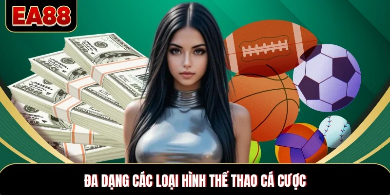 Đa dạng các loại hình thể thao cá cược Đa dạng các loại hình thể thao cá cược